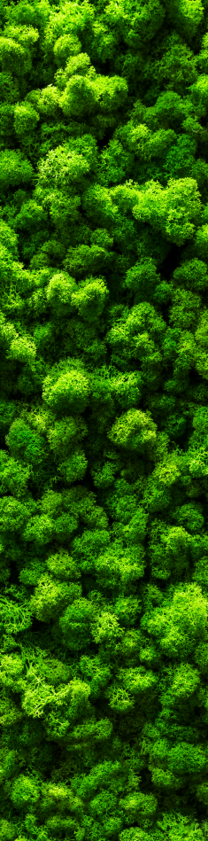 Akustikbilled i polyesterfilt 2400x600