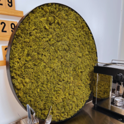 Mos Cirkler - Nature Green - Flere størrelser