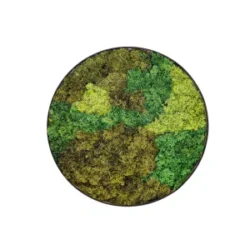Mos CirklerDesignerschoice Green - Dansk procuderet - Ø100